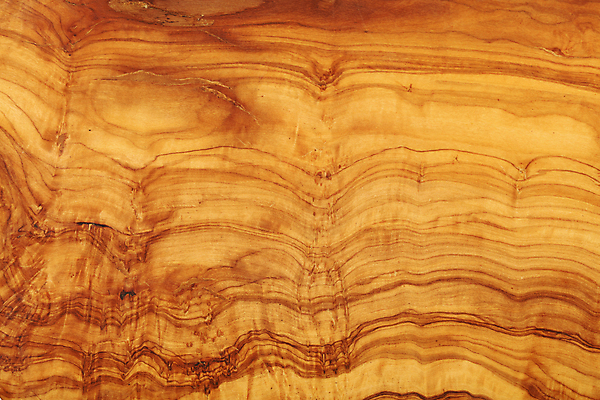 포토 JPG 해외이미지 백그라운드 패턴 자연 표면 사람없음 목재 컬러풀 갈색 노란색 널 낟알 자르기 방향 올리브 질감 섬유 강렬 해외202004 해외포토 나무 열매 컬러 무늬 재료 모션 직물 생태계 파일형식 이미지허브