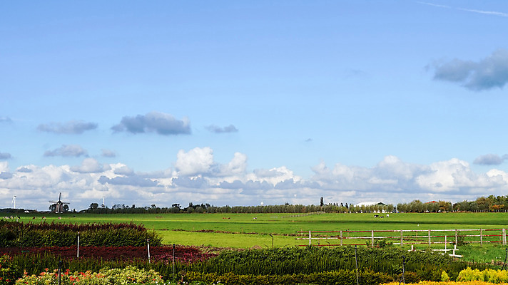 포토 JPG 해외이미지 식물 구름 계절 밭 농업 자연 하늘 날씨 풍경 잔디 사람없음 야외 초록색 여름 파란색 컬러풀 농장 맑음 봄 풍차 시골 땅 천국 방법 밭일 수평선 해외202004 해외포토 자연요소 산업 컬러 생태계 파일형식 이미지허브