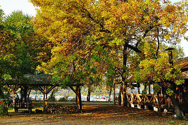 포토 JPG 해외이미지 나무 계절 잎 자연 주택 풍경 사람없음 야외 초록색 울타리 컬러풀 갈색 노란색 평화 마을 침묵 고요 가을 시골 숲 장면 타운 강렬 삼림지대 해외202004 해외포토 식물 컬러 컨셉 건물 담장 소리 도시 생태계 파일형식 이미지허브