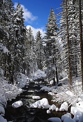 포토 JPG 해외이미지 나무 계절 포크 겨울 자연 산 풍경 사람없음 물 강 흰색 신선 소나무 정상 숲 캘리포니아 북쪽 통과 해외202004 해외포토 자연요소 식물 식기 컬러 미국 방향 생태계 파일형식 이미지허브