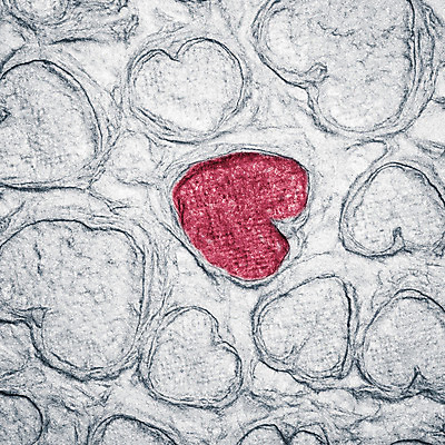 포토 JPG 해외이미지 모양 디자인 행복 종이 분홍색 백그라운드 컨셉 스티커 통신 휴가 아이디어 발렌타인데이 그림자 사랑 사람없음 라벨 쪽지 공책 공백 추위 정보 하트 메시지 달콤 널 편지 알림 심볼 오브젝트 문서 페이지 시트 패드 조언 핸드메이드 목차 카피스페이스 해외202004 해외포토 감정 컬러 데이이벤트 문구용품 프레임 맛 파일형식 이미지허브