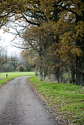 포토 JPG 해외이미지 나무 식물 구름 계절 꽃 도로 모래 여행 밭 자연 하늘 풍경 잔디 사람없음 야외 목재 초록색 여름 파란색 빛 햇빛 태양 맑음 봄 운전 자유 가을 시골 숲 땅 속도 데이지 러시아 먼지 장면 내추럴 땅바닥 루트 방법 선로 수평선 해외202004 해외포토 자연요소 유럽 길 컬러 컨셉 농업 재료 교통시설 모션 날씨 바닥 생태계 파일형식 이미지허브