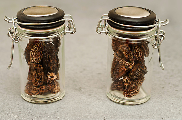 포토 JPG 해외이미지 계절 음식 줄기 백그라운드 채소 오렌지 재료 유리 건조 요리 사람없음 갈색 노란색 버섯 흰색 신선 항아리 그룹 황금 날것 고립 곰팡이 숙성 식용 채식주의자 해외202004 해외포토 식물 컬러 과일 재질 도자기 채식 파일형식 이미지허브