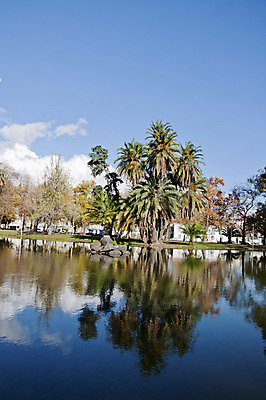 포토 JPG 해외이미지 나무 구름 공원 길 호수 섬 잎 건축양식 자연 하늘 전등 손바닥 풍경 사람없음 건물 물 반사 나뭇가지 도시 포르투갈 리스본 해외202004 해외포토 자연요소 식물 건축물 손 공공시설 건축 유럽 조명 생태계 파일형식 이미지허브