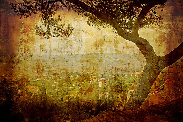 포토 JPG 해외이미지 나무 여행 창조 미술 풍경 사람없음 야외 가로 이탈리아 수확 골동품 소나무 얼룩 지중해 복고 엽서 그런지 썩음 옛날 토스카나 해외202004 해외포토 식물 유럽 바다 농업 문화예술 편지 파일형식 이미지허브