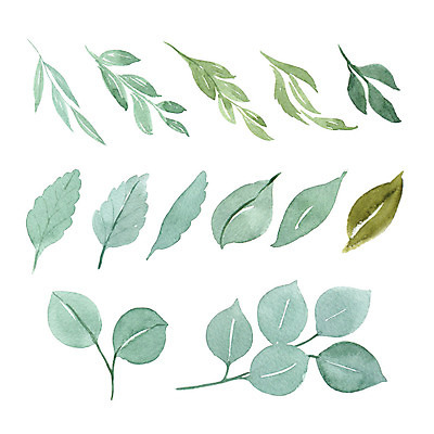 JPG 해외이미지 식물 꽃 일러스트 붓터치 수채화 사람없음 그림 번짐 작약 해외202004 해외일러스트 파일형식 효과 이미지허브