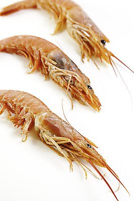 포토 JPG 해외이미지 접시 음식 바다 다이어트 지팡이 조개 새우 연체동물 안테나 건강 어류 요리 사람없음 반사 머리 경기장 초밥 껍질 축하 신선 고급 맛 해산물 꼬리 날것 고립 식품점 해외202004 해외포토 식기 컨셉 통신 스포츠시설 어패류 무척추동물 갑각류 신체부위 상점 수중동물 일본음식 파일형식 이미지허브