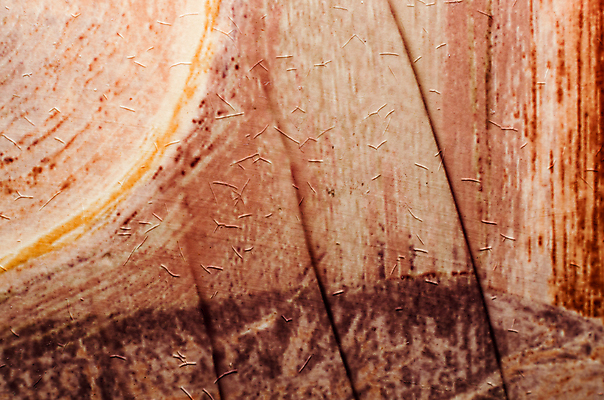 포토 JPG 해외이미지 디자인 백그라운드 패턴 오렌지 벽지 추상 미술 사람없음 공백 질감 미니멀리스트 디테일 미니멀 해외202004 해외포토 무늬 과일 문화예술 파일형식 이미지허브