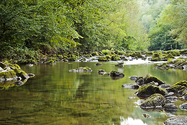 포토 JPG 해외이미지 나무 식물 계절 공원 호수 여행 백그라운드 잎 자연 풍경 사람없음 야외 목재 초록색 물 강 반사 젖음 흐름 바위 시골 신선 개울 숲 허브 유기농 날것 뿌리 암초 내추럴 해외202004 해외포토 자연요소 웰빙 공공시설 컬러 컨셉 재료 돌_바위 생태계 파일형식 이미지허브