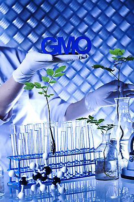 포토 JPG 해외이미지 식물 손 여자 실내 실험 한명 들기 상반신 성인 앞모습 신체부위 액체 화학 실험실 플라스크 파란배경 비커 화학실험 분자구조모형 유전자변형 성인여자한명만 해외202004 해외포토 1 뷰포인트 과학 백그라운드 모션 실험기구 사람 내부 파란색 모형 분자구조 여자한명만 성인여자만 파일형식 이미지허브