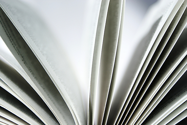 포토 JPG 해외이미지 종이 잎 사람없음 책 독서 기둥 도서관 읽기 문학 페이지 시트 해외202004 해외포토 식물 교육 건축 모션 파일형식 이미지허브