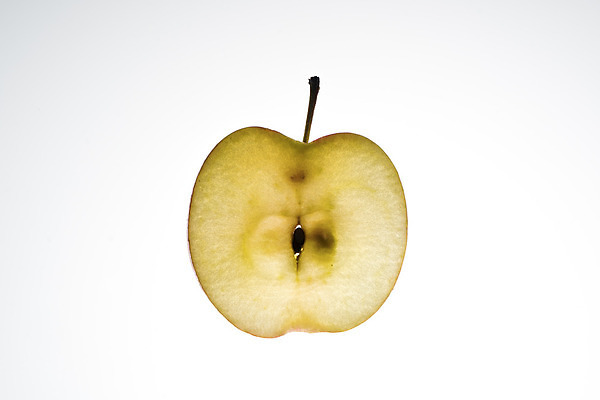 포토 JPG 해외이미지 음식 조각 백그라운드 다이어트 오렌지 과일 재료 자연 귤 프레임 건강 키위 사람없음 빨간색 초록색 빛 노란색 검은색 흰색 신선 원형 달콤 맛 사과 자르기 배열 오브젝트 유기농 슬라이스 문학 고립 섞기 채식주의자 해외202004 해외포토 도형 웰빙 컬러 컨셉 모션 생태계 채식 파일형식 이미지허브