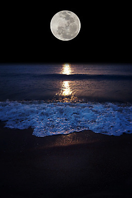 포토 JPG 해외이미지 풍경 해변 사람없음 야외 보름달 달 야간 해외202004 해외포토 자연요소 바다 파일형식 이미지허브