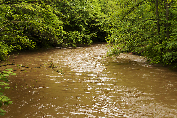 포토 JPG 해외이미지 나무 잎 자국 자연 독일 풍경 사람없음 목재 초록색 물 강 봄 하이킹 물방울 시골 개울 숲 홍수 해외202004 해외포토 자연요소 식물 계절 유럽 컬러 재료 레저 자연재해 생태계 파일형식 이미지허브
