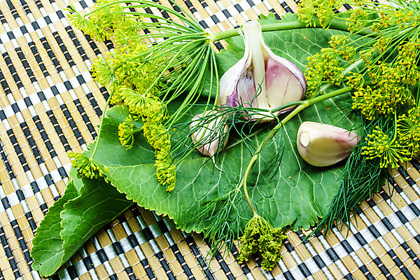 포토 JPG 해외이미지 식물 음식 백그라운드 채소 재료 자연 건강 마늘 요리 사람없음 초록색 수확 시골 신선 허브 향신료 유기농 날것 피클 딜 숙성 오이피클 절임 채식주의자 핸드메이드 해외202004 해외포토 웰빙 컬러 농업 생태계 채식 향미료 파일형식 이미지허브