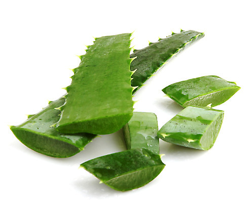 포토 JPG 해외이미지 사람없음 피부관리 흰배경 슬라이스 알로에 알로에베라 해외202004 해외포토 식물 백그라운드 뷰티 흰색 파일형식 이미지허브