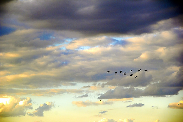 포토 JPG 해외이미지 구름 종교 여행 백그라운드 컨셉 자연 조류 하늘 바람 날씨 아이디어 풍경 사람없음 야외 여름 파란색 빛 햇빛 우주 환경 어둠 희망 일몰 회색 자유 흰색 장면 폭풍 솜털 철새 흐림 뇌우 유일 효과 해외202004 해외포토 자연요소 동물 계절 감정 컬러 태양 노을 생태계 파일형식 이미지허브