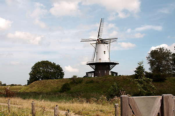 포토 JPG 해외이미지 구름 전통 유럽 문화 밭 농업 날개 건축양식 자연 하늘 바람 옥수수 안전 풍경 사람없음 야외 건물 초록색 여름 파란색 평화 힘 봄 풍차 에너지 무대 수확 골동품 흰색 시골 소 역사 밀 네덜란드 그림 복고 장면 방앗간 외양간 옛날 해외202004 해외포토 자연요소 건축물 계절 건축 나라 산업 컬러 컨셉 포유류 날씨 곡류 생태계 파일형식 이미지허브