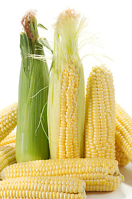 포토 JPG 해외이미지 식물 문화 음식 농업 채소 과일 재료 자연 건강 옥수수 사람없음 농작물 노란색 껍질 흰색 달콤 먹기 가득함 상쾌 날것 고립 숙성 채식주의자 해외202004 해외포토 감정 산업 컬러 모션 곡류 맛 생태계 채식 파일형식 이미지허브