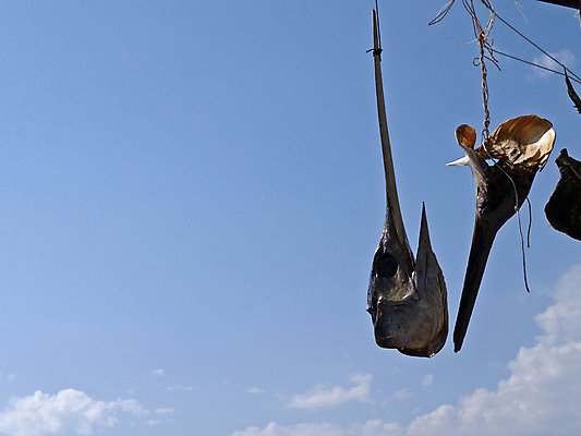포토 JPG 해외이미지 구름 바다 자연 사람없음 물 빛 머리 우주 생태학 해외202004 해외포토 자연요소 교육 신체부위 생태계 파일형식 이미지허브