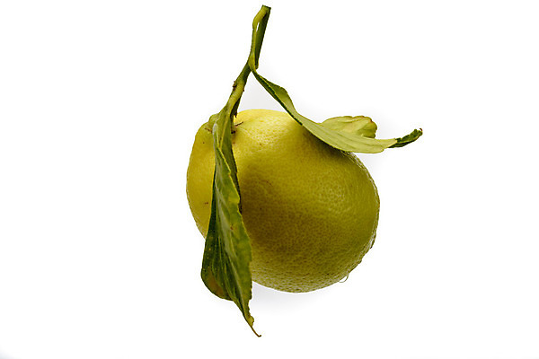 포토 JPG 해외이미지 음료 클리핑패스 음식 조각 백그라운드 십자가 잎 다이어트 과일 재료 부분 자연 귤 건강 요리 사람없음 노란색 활발 껍질 흰색 신선 양념 그룹 달콤 맛 자르기 레몬 레모네이드 가득함 유기농 날것 슛 내추럴 강렬 고립 숙성 채식주의자 억울 해외202004 해외포토 식물 웰빙 감정 컬러 컨셉 모션 생태계 채식 에이드 파일형식 이미지허브