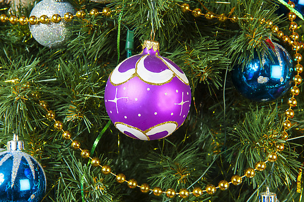 포토 JPG 해외이미지 나무 전통 크리스마스장식 크리스마스 겨울 공 유리 휴가 새해 선물 사람없음 장식 초록색 빛 크리스마스트리 장식볼 12월 연도 오브젝트 해외202004 해외포토 식물 계절 기념일 컬러 재질 날짜 파일형식 이미지허브