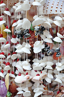 포토 JPG 해외이미지 동물 디자인 벽 바다 조각 장신구 자연 벽지 모바일 조개 주택 실내 미술 사람없음 내부 장식 껍질 공예 내추럴 핸드메이드 해외202004 해외포토 문화예술 어패류 취미 건물 생태계 파일형식 이미지허브