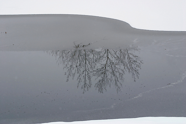 포토 JPG 해외이미지 나무 호수 겨울 자연 하늘 사람없음 물 파란색 반사 냉동 얼음 추위 흰색 물방울 서리 눈내림 해외202004 해외포토 자연요소 식물 계절 컬러 눈_날씨 생태계 파일형식 이미지허브