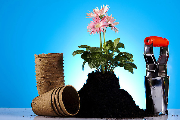 포토 JPG 해외이미지 식물 꽃 지구 줄기 백그라운드 컨셉 잎 자연 부츠 통 건강 사람없음 초록색 여름 농장 환경 정원 봄 성장 공구 캔 보호 냄비 물주기 시작 원예 먼지 갈퀴 개발 돌봄 생태학 심기 세련 해외202004 해외포토 계절 교육 컬러 신발 농업 모션 취미 도구 솥 생태계 파일형식 이미지허브