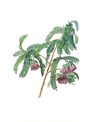 JPG 해외이미지 식물 꽃 꽃다발 일러스트 붓터치 수채화 사람없음 들꽃 그림 번짐 해외202004 해외일러스트 파일형식 효과 이미지허브