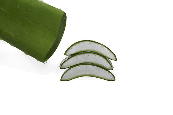 포토 JPG 해외이미지 벽지 불 사람없음 어플리케이션 시원함 피부관리 흰배경 슬라이스 알로에 예방주사 카피스페이스 알로에베라 해외202004 해외포토 자연요소 식물 백그라운드 주사기 뷰티 공백 흰색 예방 파일형식 이미지허브