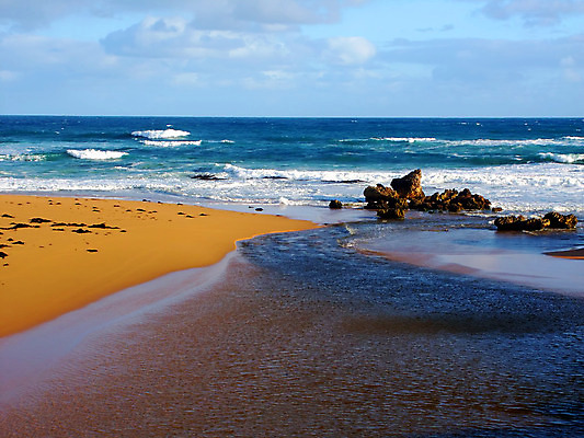 포토 JPG 해외이미지 모래 여행 자연 조류 풍경 사람없음 야외 강 환경 침묵 개울 황무지 호주 장면 태평양 지역 서식지 내추럴 생태학 해일 현재 해외202004 해외포토 동물 교육 바다 컨셉 소리 오세아니아 자연재해 생태계 파일형식 이미지허브