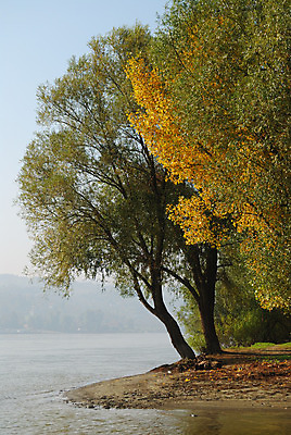 포토 JPG 해외이미지 외관 자연 하늘 아침 낚시 풍경 사람없음 목재 빨간색 초록색 물 파란색 빛 강 햇빛 노란색 평화 고요 안개 가을 11월 해외202004 해외포토 주간 자연요소 나무 계절 컬러 컨셉 재료 레저 날씨 태양 날짜 생태계 파일형식 이미지허브