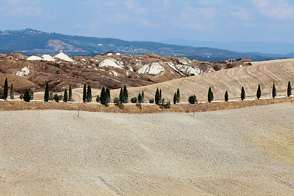 포토 JPG 해외이미지 나무 선 패턴 밭 농업 자연 건조 풍경 사람없음 여름 평화 환경 고요 이탈리아 사막 달력 성장 가을 시골 만취 언덕 부식 그림 포도밭 장면 시에나 토스카나 해외202004 해외포토 식물 계절 유럽 산업 컨셉 무늬 생태계 술취함 파일형식 이미지허브