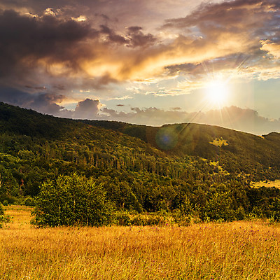 포토 JPG 해외이미지 나무 구름 계절 꽃 여행 백그라운드 잎 밭 농업 자연 하늘 불꽃 산 풍경 경사 사람없음 야외 초록색 빛 햇빛 태양 농장 계곡 일몰 새벽 광선 가을 시골 저녁 숲 언덕 공터 해외202004 해외포토 자연요소 식물 산업 컬러 불 노을 야간 생태계 파일형식 이미지허브