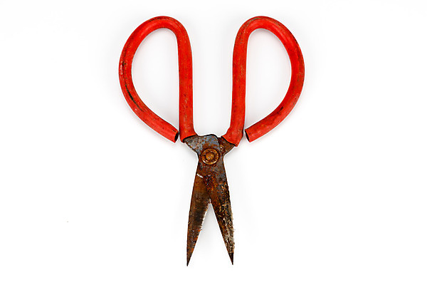 포토 JPG 해외이미지 백그라운드 사람없음 금속 장비 수확 골동품 흰색 기구 공구 쌍 칼날 큼 바느질 자르기 오브젝트 부식 복고 날카로움 재단 재단사 고립 그런지 옛날 중고 철강 해외202004 해외포토 직업 컬러 농업 모션 재질 도구 크기 파일형식 이미지허브