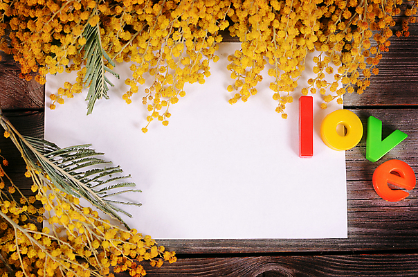 포토 JPG 해외이미지 나무 식물 계절 꽃 꽃다발 백그라운드 잎 꽃무늬 텍스트 공 자연 휴가 선물 사람없음 목재 장식 초록색 노란색 봄 벚꽃 흰색 나뭇가지 판넬 원형 신용카드 황금 편지 다발 배열 심볼 순수 사인 속도 시트 솜털 아카시아 해외202004 해외포토 도형 컬러 컨셉 무늬 재료 금융 생태계 파일형식 이미지허브