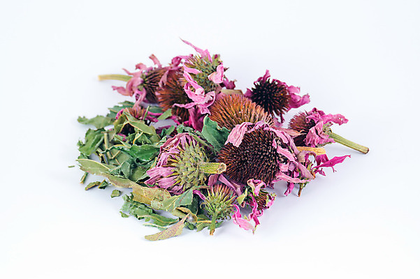 포토 JPG 해외이미지 식물 꽃잎 꽃 분홍색 백그라운드 꽃무늬 오렌지 자연 건조 건강 사람없음 야외 초록색 건강관리 정원 보라색 센터 닫기 정상 허브 묘사 유기농 원예 꽃가루 동쪽 고슴도치 보충 면역력 영원 치유 해외202004 해외포토 웰빙 컬러 무늬 과일 포유류 모션 관리 취미 가루 방향 생태계 파일형식 이미지허브