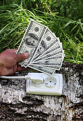 포토 JPG 해외이미지 나무 컨셉 지폐 돈 비즈니스 자연 아이디어 집게 사람없음 야외 초록색 금융 환경 달러 힘 재활용 에너지 절약 콘센트 플러그 에코 투자 스위치 자원 회계 유지 바이오 생태학 입력 자금 효율 해외202004 해외포토 식물 교육 컬러 경제 재산 친환경 생태계 파일형식 이미지허브