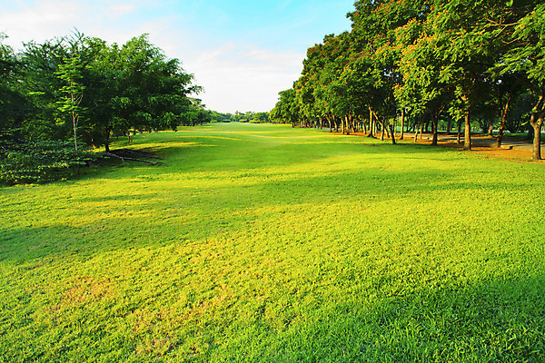 포토 JPG 해외이미지 나무 식물 구름 계절 공원 잎 밭 자연 하늘 아침 풍경 잔디 사람없음 초록색 여름 파란색 빛 햇빛 태양 문 우주 환경 정원 맑음 봄 연못 신선 도시 오픈 숲 땅 당구 상쾌 내추럴 오존 해외202004 해외포토 주간 자연요소 공공시설 감정 컬러 농업 날씨 구기 생태계 파일형식 이미지허브