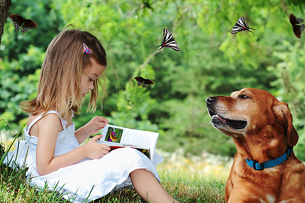 포토 JPG 해외이미지 주간 동물 백인 여자 교육 행복 어린이 나비 자연 날리기 건강 이야기 한명 사람 야외 책 여름 반려동물 청춘 독서 맑음 사진촬영 흰색 개 읽기 그림 많음 카피스페이스 해외202004 해외포토 자연요소 서양인 1 계절 감정 컬러 곤충 컨셉 포유류 모션 날씨 촬영 공백 생태계 파일형식 이미지허브