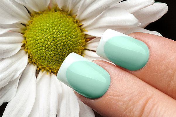 포토 JPG 해외이미지 손 손가락 미술 사람없음 장미 유행 화장품 손톱관리 손톱 데이지 돌봄 위생관리 아크릴 스타일 해외202004 해외포토 꽃 모션 재질 문화예술 관리 신체부위 뷰티 네일아트 파일형식 이미지허브