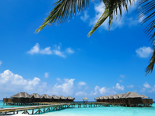 포토 JPG 해외이미지 나무 도로 길 바다 여행 백그라운드 컨셉 자연 하늘 호텔 지붕 추상 휴가 휴식 주택 풍경 사람없음 야외 목재 물 여름 환경 매끈함 오두막 빌라 순수 시골집 휴양지 단계 몰디브 샬레 이국적 파라다이스 해외202004 해외포토 자연요소 식물 계절 아시아 무늬 재료 교통시설 숙소 실험기구 건물 장소 감각 생태계 파일형식 이미지허브