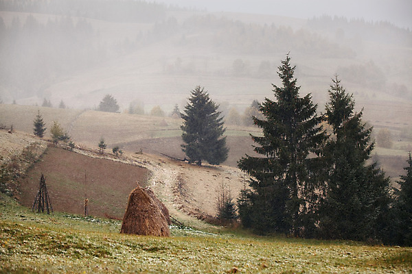 포토 JPG 해외이미지 나무 도로 겨울 밭 산 사람없음 초록색 울타리 노란색 우주 정원 안개 가을 언덕 서리 우크라이나 폭설 해외202004 해외포토 식물 계절 유럽 길 컬러 농업 교통시설 날씨 눈_날씨 담장 자연재해 파일형식 이미지허브