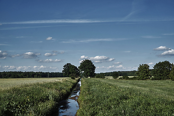 포토 JPG 해외이미지 나무 식물 구름 유럽 잎 하늘 풍경 사람없음 물 강 나뭇가지 시골 숲 폴란드 수평선 해외202004 해외포토 자연요소 나라 파일형식 이미지허브