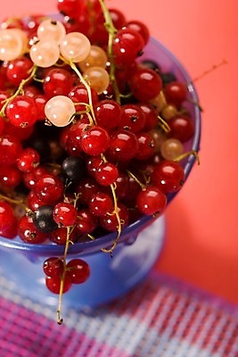 포토 JPG 해외이미지 열매 음식 다이어트 과일 건강 사람없음 빨간색 신선 먹기 건포도 숙성 해외202004 해외포토 식물 컬러 모션 포도 건과일 파일형식 이미지허브