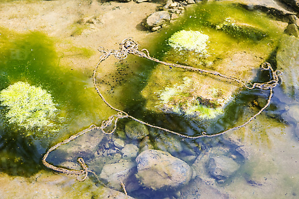 포토 JPG 해외이미지 나무 전통 문화 여행 하늘 휴가 산 주택 손바닥 풍경 사람없음 가로 파란색 햇빛 마을 만 중앙 작음 아라비아 타운 동쪽 구성 서쪽 오아시스 해외202004 해외포토 식물 손 컬러 건물 태양 도시 크기 방향 파일형식 이미지허브