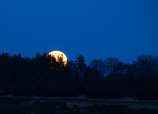 포토 JPG 해외이미지 하늘 잉글랜드 사람없음 빨간색 우주 인공위성 달 원형 가득함 장면 천국 미신 서식스 해외202004 해외포토 자연요소 도형 컬러 통신 영국 파일형식 이미지허브