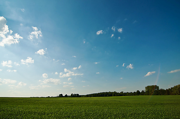 포토 JPG 해외이미지 나무 구름 밭 자연 하늘 사람없음 야외 가로 초록색 농작물 컬러풀 농장 성장 시골 해외202004 해외포토 자연요소 식물 컬러 농업 생태계 파일형식 이미지허브