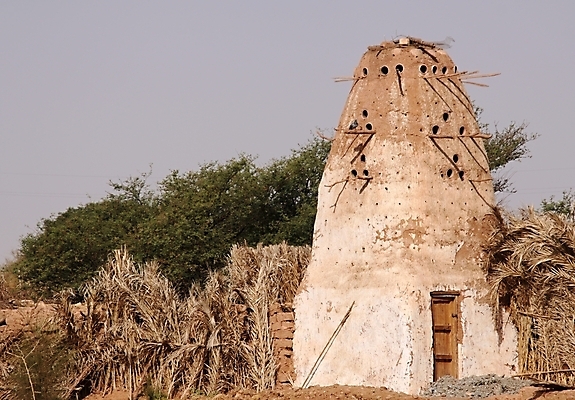 포토 JPG 해외이미지 동물 벽 건축양식 조류 벽돌 이집트 사람없음 야외 건물 탑 시골 회의실 장례식 해외202004 해외포토 건축물 건축 아프리카 파일형식 이미지허브